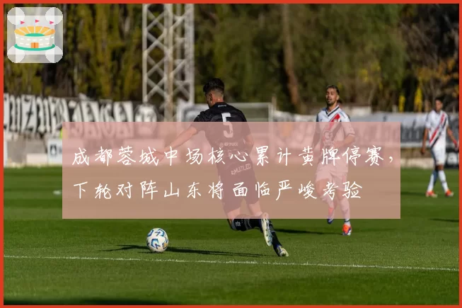 成都蓉城中场核心累计黄牌停赛,下轮对阵山东将面临严峻考验